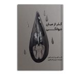 گذر از میان دیوانگی