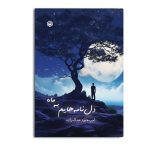 دل نامه هایم به ماه