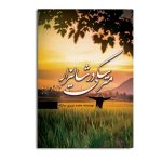 مترسکی در شالیزار