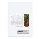 درخت کنار - Image 2