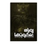 رویای عنکبوت ها