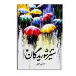 ستیز شوریدگان