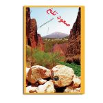 صعود تلخ