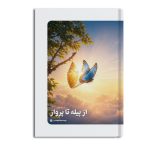 از پیله تا پرواز