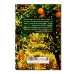 نارنج و ترنج - Image 2