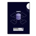 پروتکل‌های مسیریابی (OSPF) - Image 2