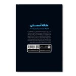 ملکه آسمان (کوچینگ، تیم سازی و رهبری پروژه 747) - Image 2